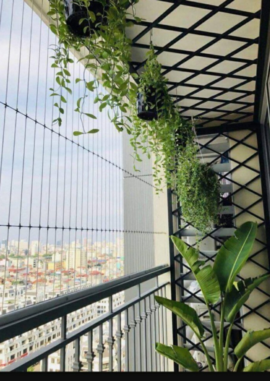 Lưới An Toàn Ban Công Lưới An Toàn Ban Công